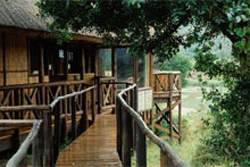 Gqoyeni Bush Lodge Hluhluwe uMfolozi Game Reserve