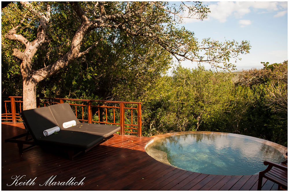 Private plunge pool at a Safari Suite - Thanda Safari Lodge, Thanda Private Game Reserve - Zululand Reservations