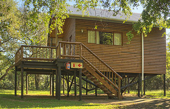 Bonamanzi Safari Lodge,Tree House,Hluhluwe Village,Hluhluwe iMfolozi Game Reserve,KwaZulu-Natal,Hluhluwe iMfolozi Reservations