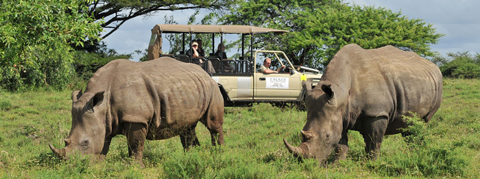 Falaza Game Park Hluhluwe iMfolozi Game Reserve luxury tented accommodation