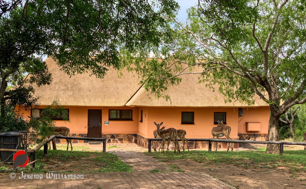 Mantuma Camp, Mkuze Game Reserve - Hluhluwe iMfolozi Reservations