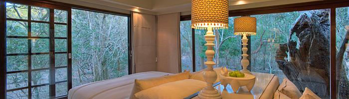 Private Suite View Luxury Game Lodge Phinda Forest Lodge Phinda Private Game Reserve Big 5 Safari