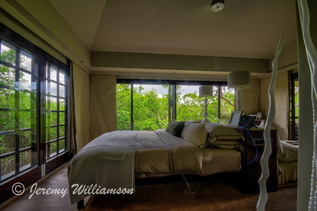 Private Suite View Luxury Game Lodge Phinda Forest Lodge Phinda Private Game Reserve Big 5 Safari