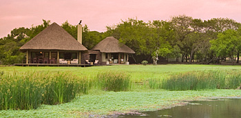 Accommodation bookings Phinda Zuka Lodge Phinda Game Reserve KwaZulu-Natal Private Lodge safari reservations
