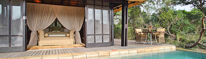 Phinda Vlei Lodge Luxury Suite Plunge Pool Phinda Private Game Reserve