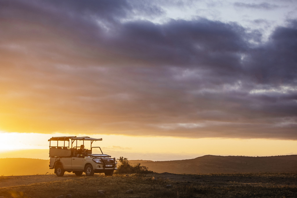 Rhino Ridge Safari Lodge