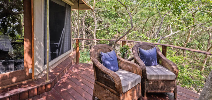 Deck Standard Safari Tents Thanda Tented Safari Camp Thanda Private Game Reserve KwaZulu-Natal Luxury Game Lodge