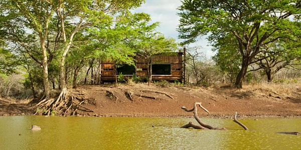 Wildlife Waterhole Hide Leopard Mountain Game Lodge Manyoni Private Game Reserve Zululand Rhino Reserve Big 5 Hluhluwe iMfolozi Reservations