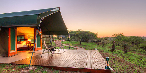 Luxury Tented Camp Mavela Game Lodge Manyoni Private Game Reserve Zululand Rhino Reserve