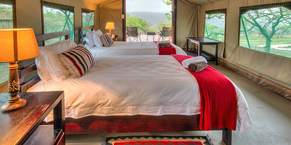 Luxury Tented Camp Mavela Game Lodge Manyoni Private Game Reserve Zululand Rhino Reserve South Africa