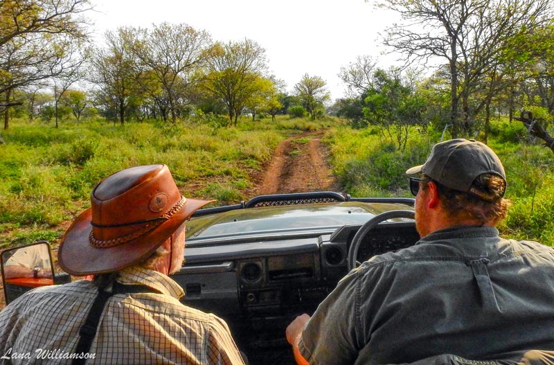 Game Drive - Rhino Sands Safari Camp, Manyoni Private Game Reserve - Hluhluwe iMfolozi Reservations
