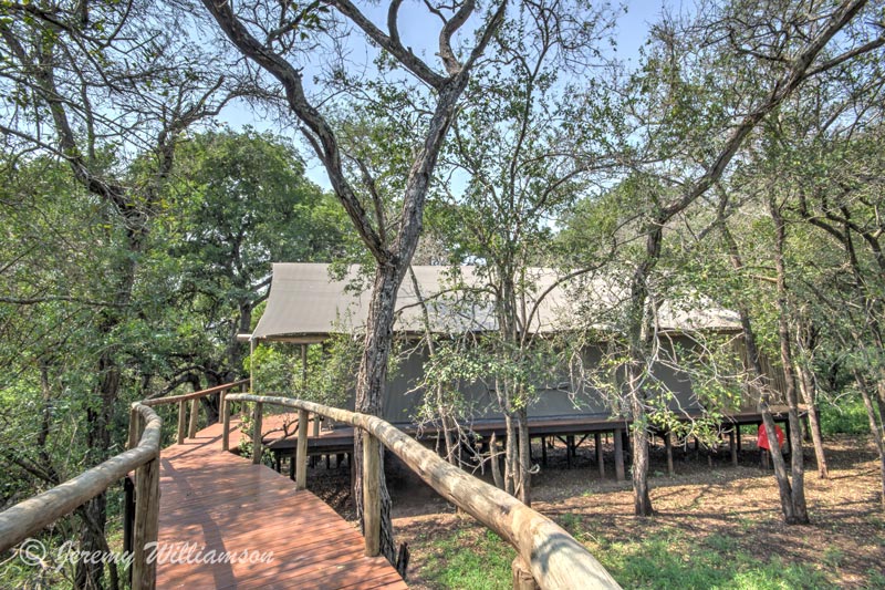 Path to rooms - Rhino Sands Safari Camp, Manyoni Private Game Reserve - Hluhluwe iMfolozi Reservations